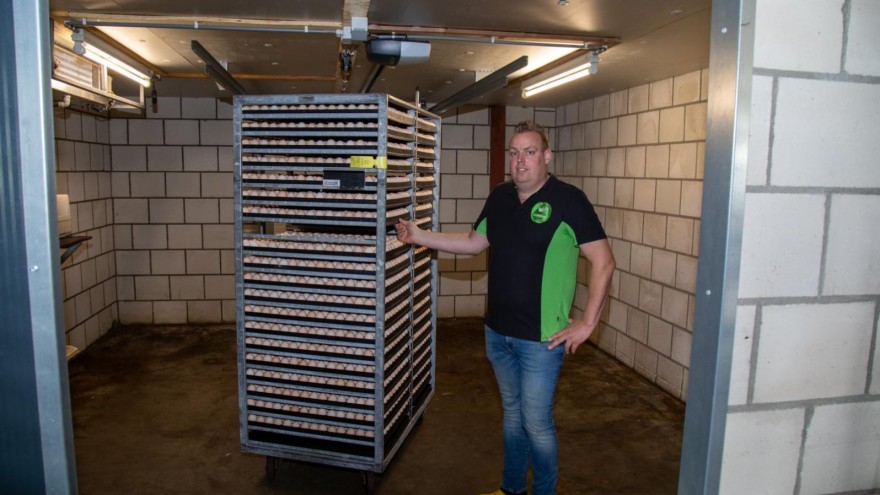 Mastelterntiere Niederlande