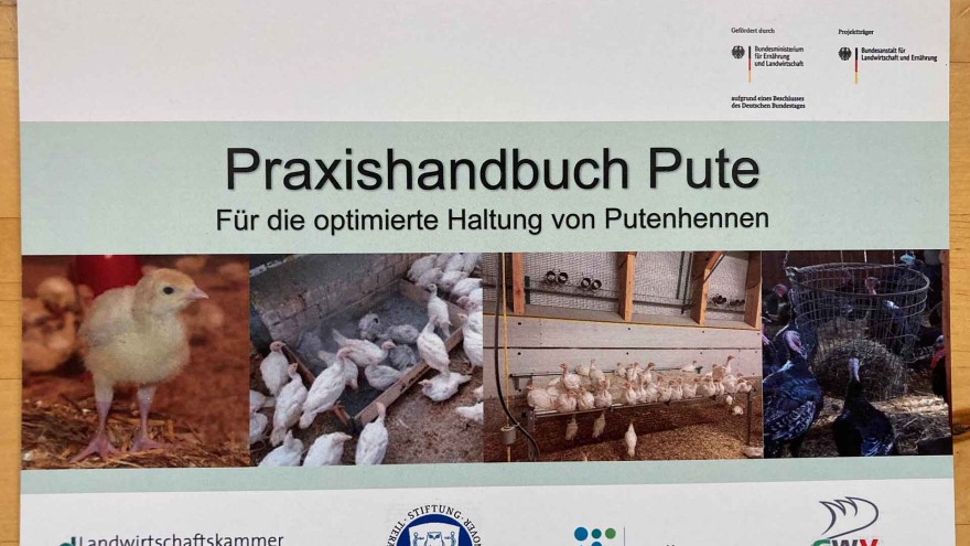 Putenprojekt Praxishandbuch