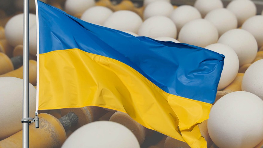 Ukraina Flagge Eier