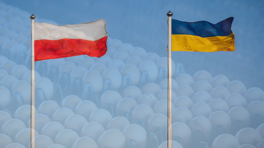 Ukraine Polen Flaggen