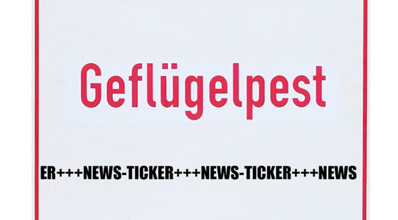 Geflügelpest Ticker 2025