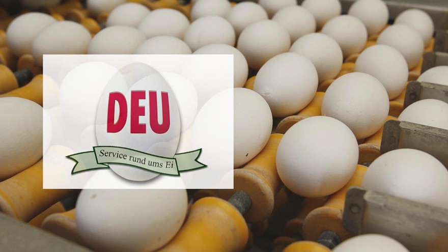 Notierung Eiermarkt