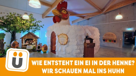 Begehbares Huhn