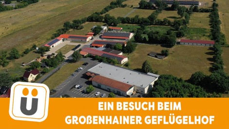 Großenhainer Geflügelhof