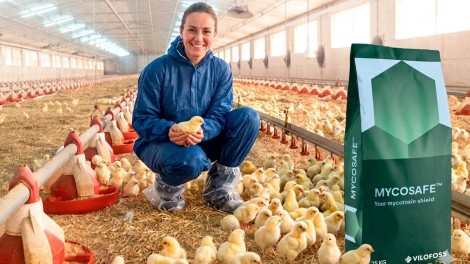 Küken Sack Vilofoss