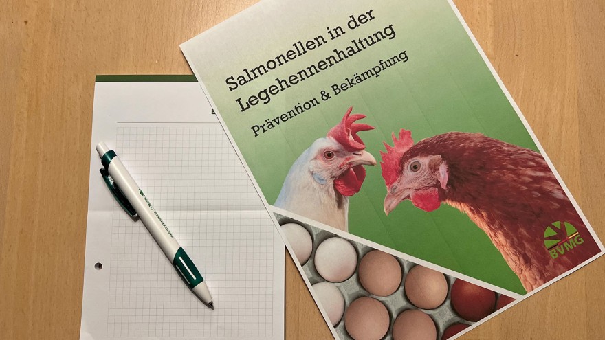 Salmonellenhandbuch