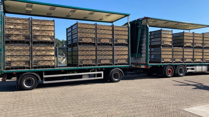 Transport