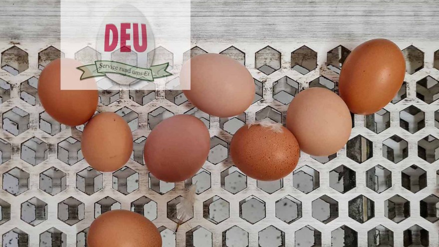 Eier