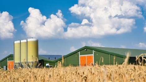 Landwirtschaftlicher Betrieb