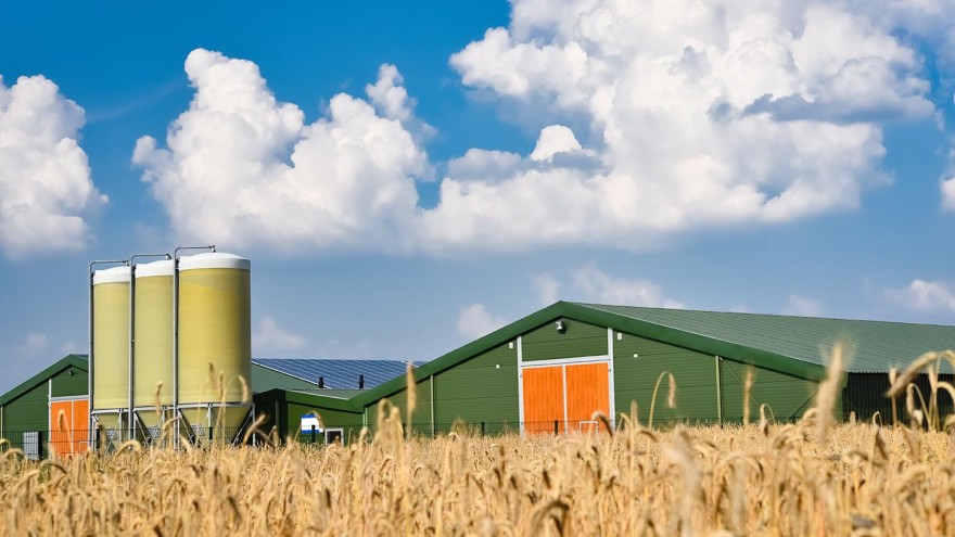 Landwirtschaftlicher Betrieb