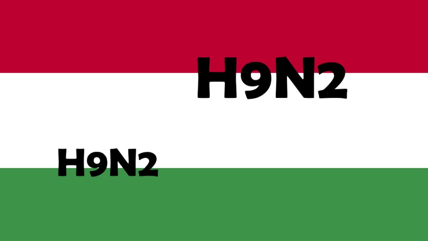 Flagge Ungarn