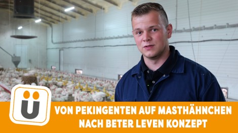 Jann Toben
