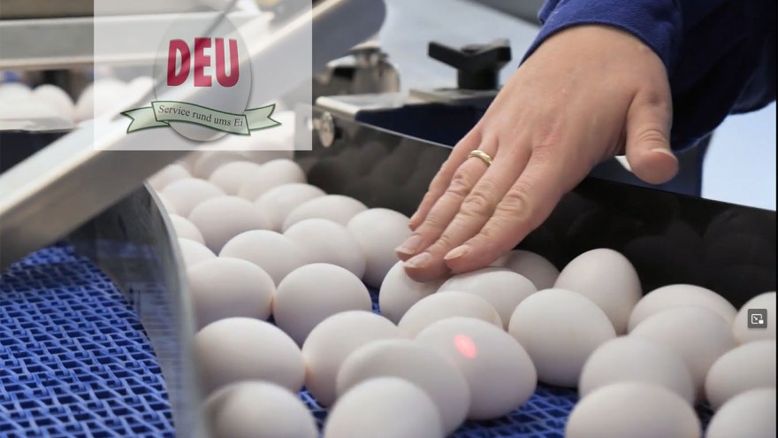 Marktbericht DEU