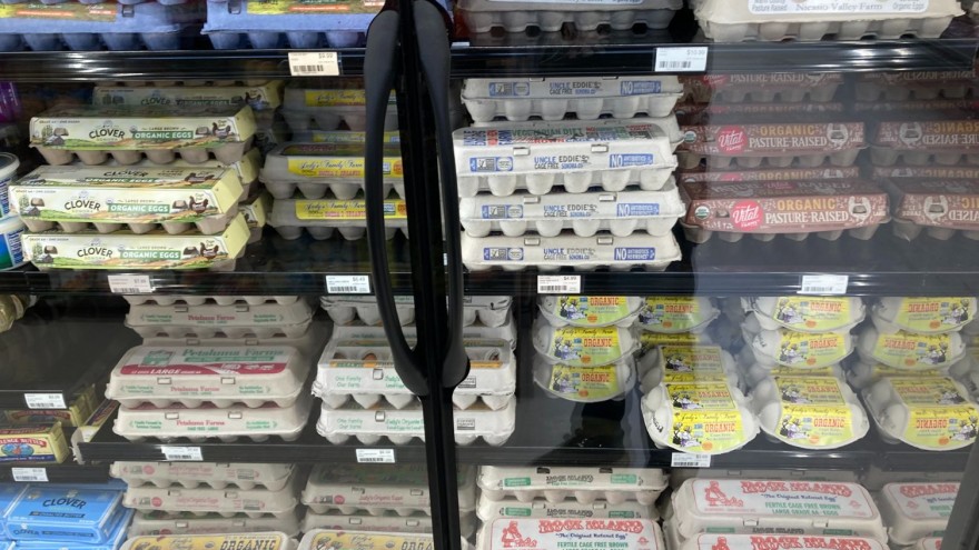 Eier im Discounterregal