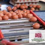 DEU Marktbericht