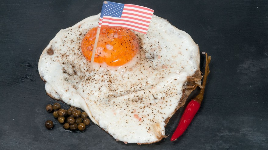 USA Eier ZDG