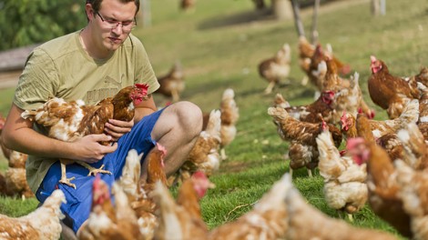 junger mann mit huhn