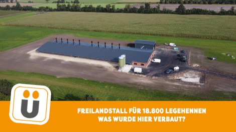 Legehennenstall Schütmaat