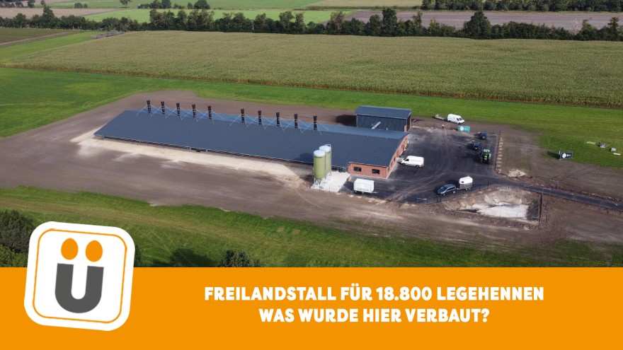 Legehennenstall Schütmaat