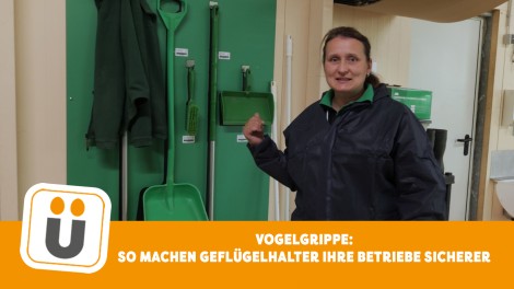 Vorsorge Klassische Geflügelpest