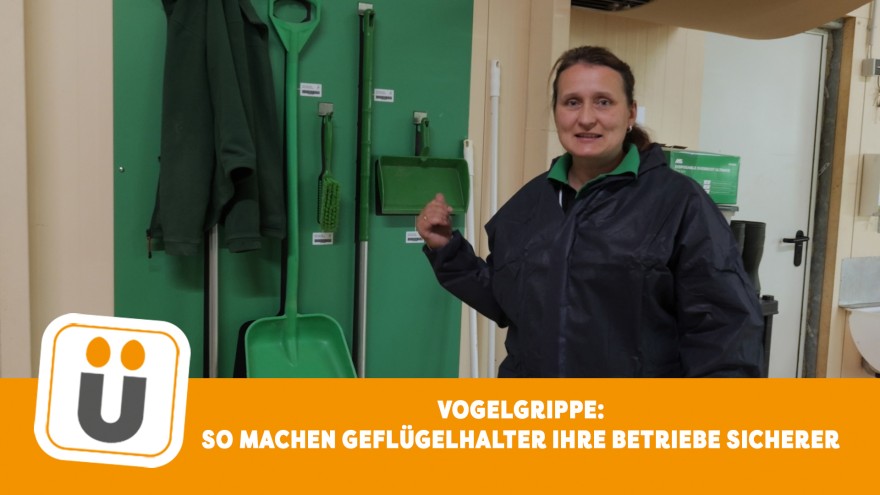 Vorsorge Klassische Geflügelpest
