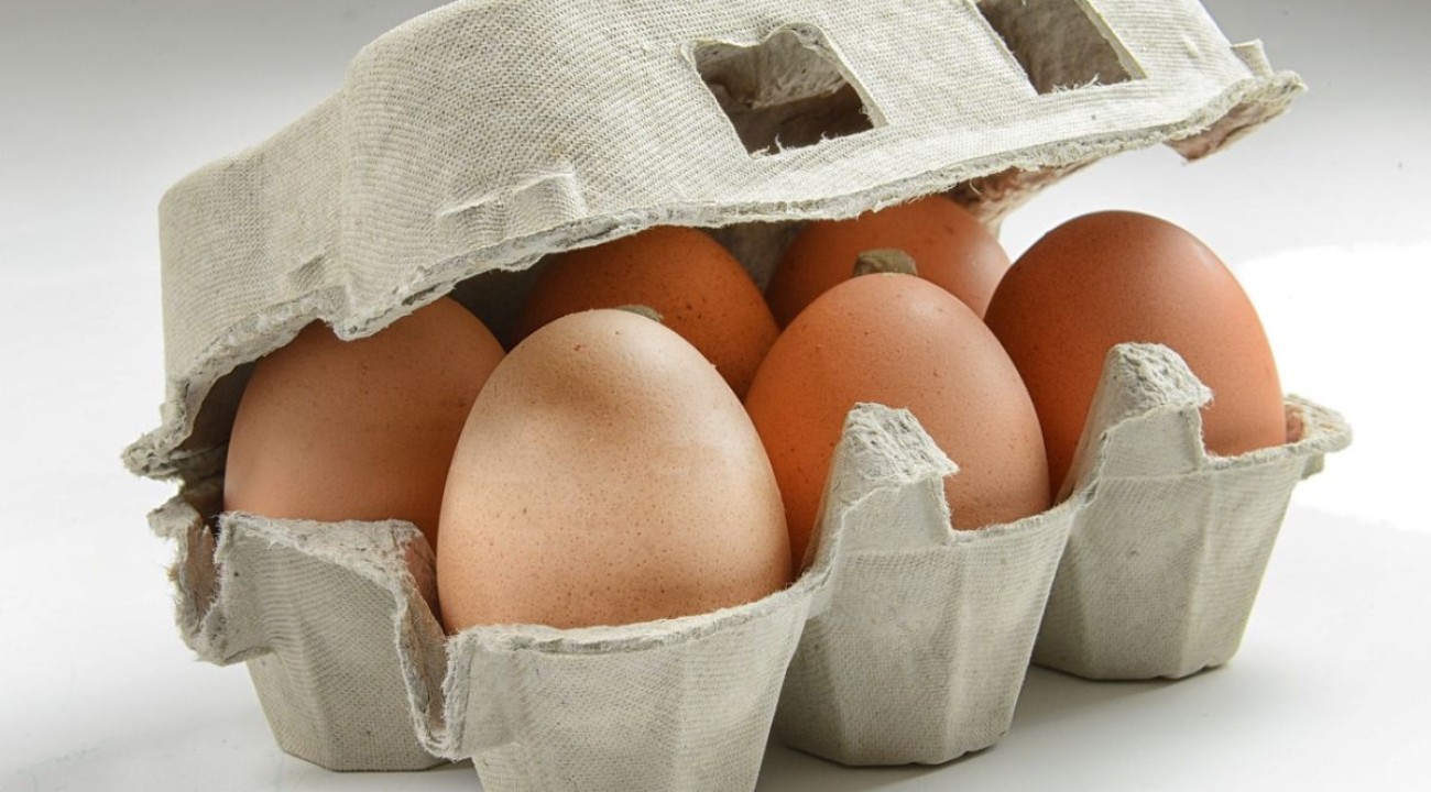 Sechs Eier in einer Eierschachtel