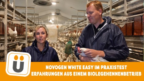 Novogen