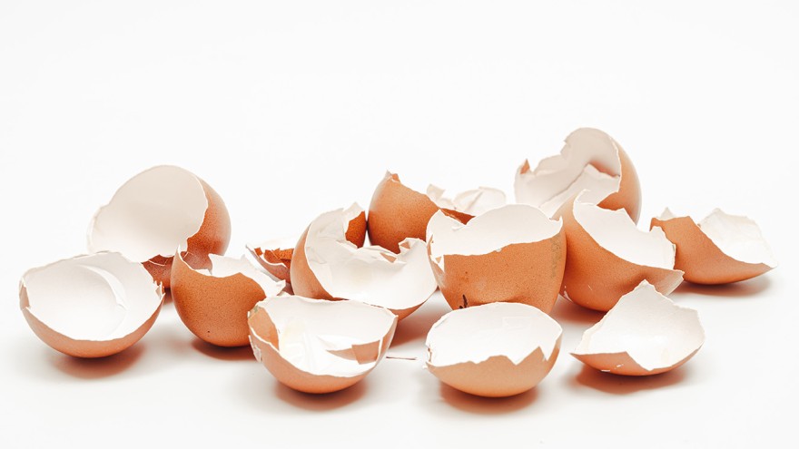 Eierschale