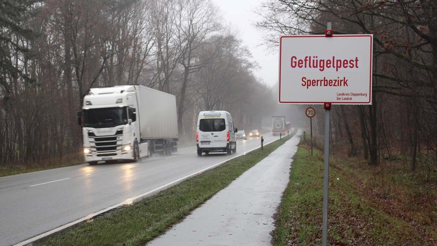 Vogelgrippe Rekord