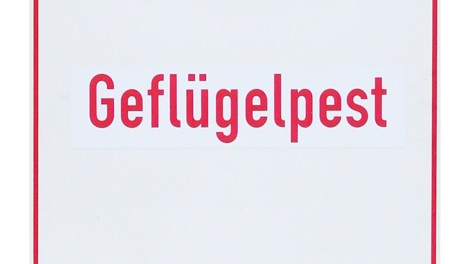 Geflügelpest