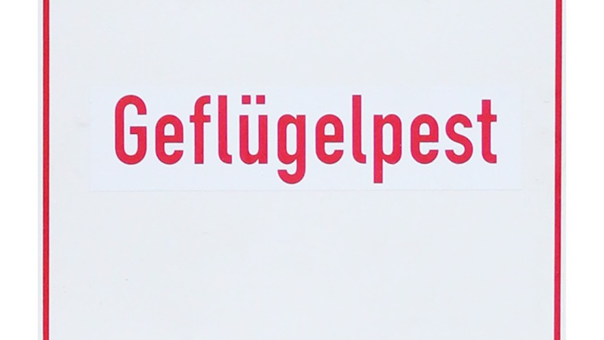 Geflügelpest
