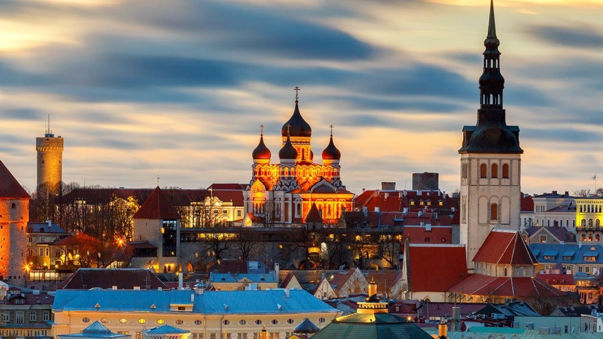 Legehennen Tallinn Estland