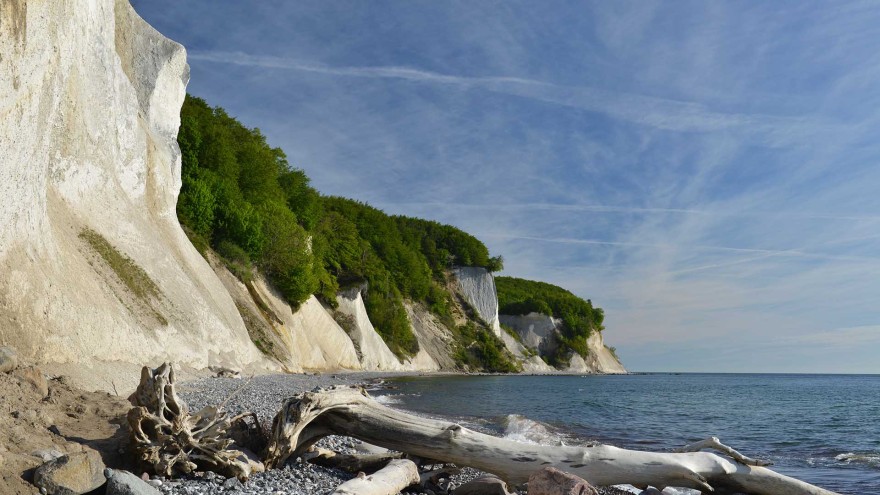 Vogelgrippe Rügen