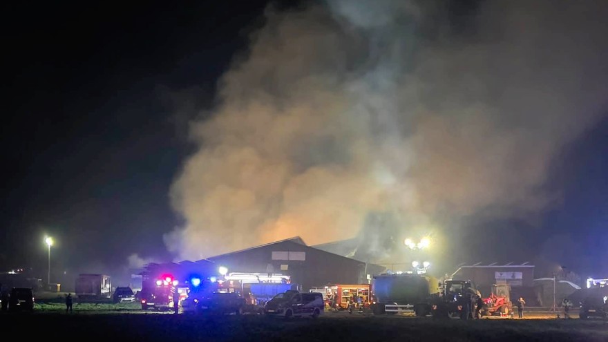 Feuer in Geflügelstall