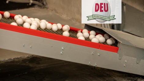 marktbericht