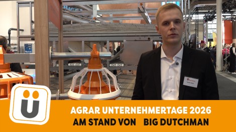 big dutchmann