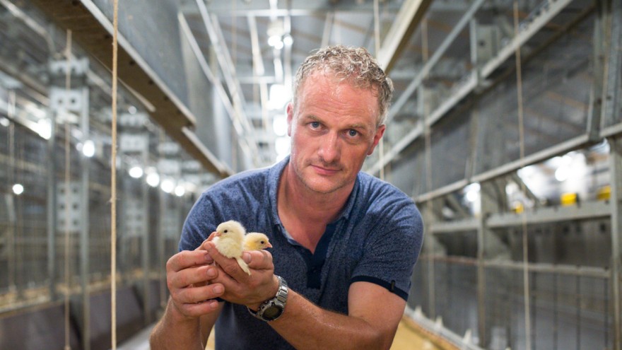 Bild Landwirt mit Küken