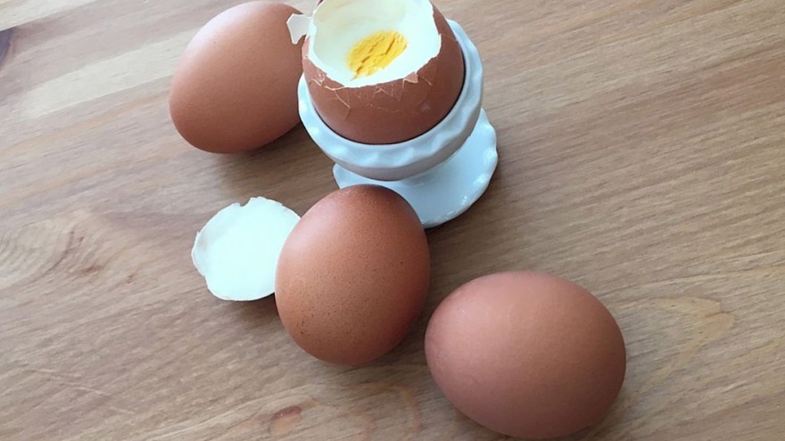 frühstücksei