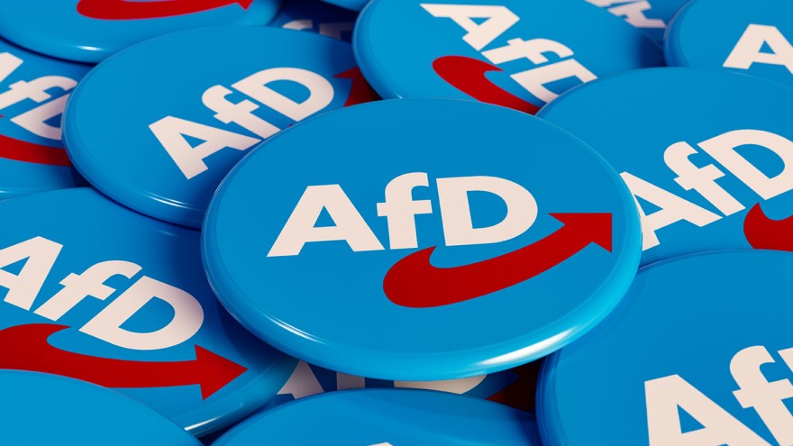 Bundestagswahl AfD