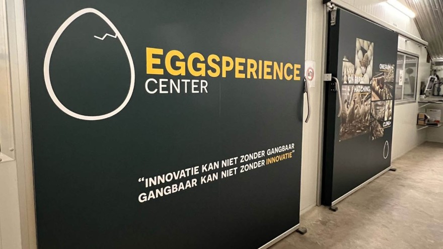 Eggsperience Center