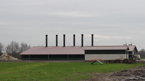Stallneubau